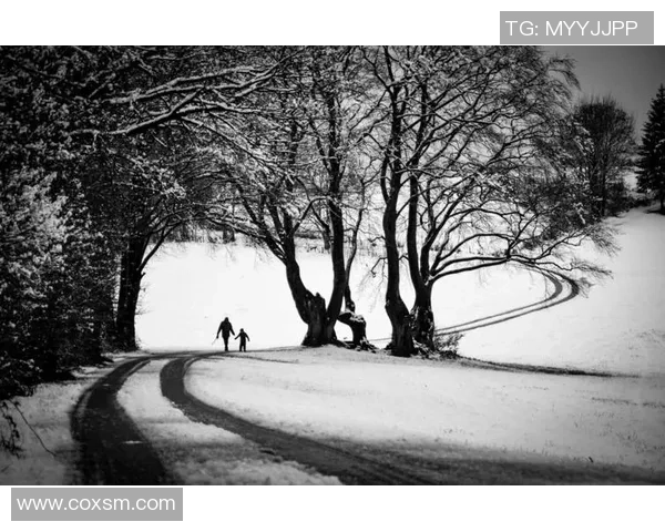 足球明星背影照片展现独特魅力与霸气气场的完美瞬间