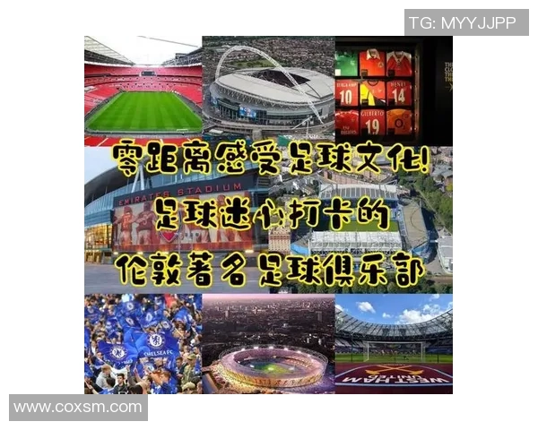 通过图片识别揭晓全球足球明星的魅力与成就探索之旅