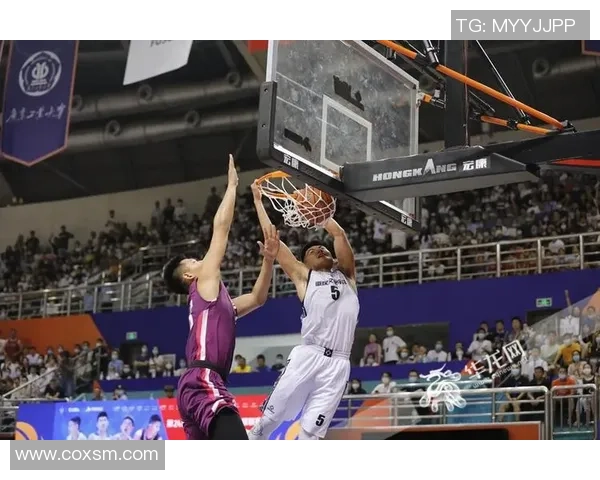 专业解读：重庆篮球队的防守打法