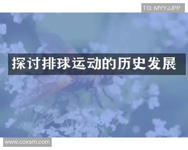 排球焦点：广州排球队的力量探讨
